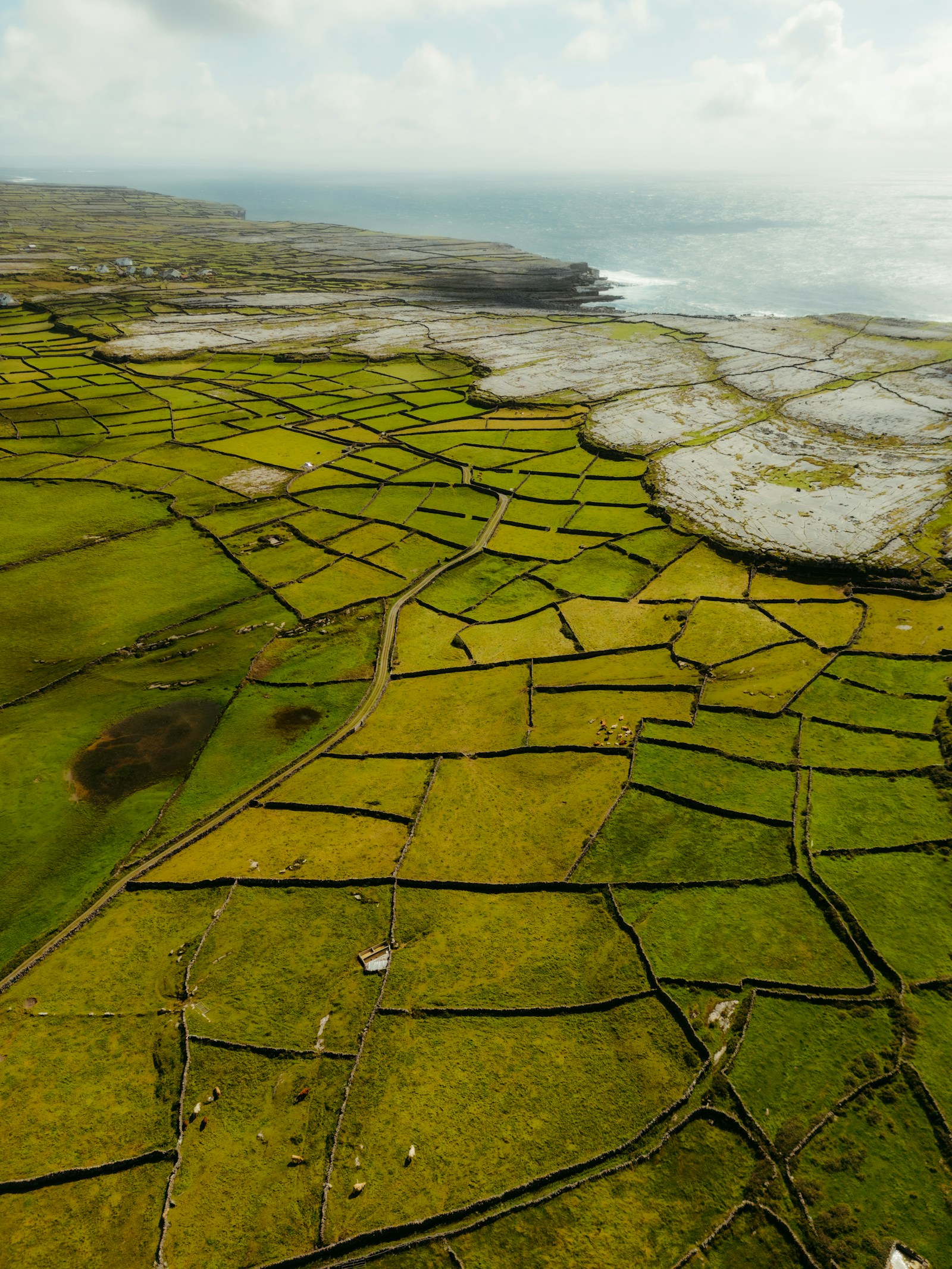 Green cliffs overlooking the Irish Atlantic coast